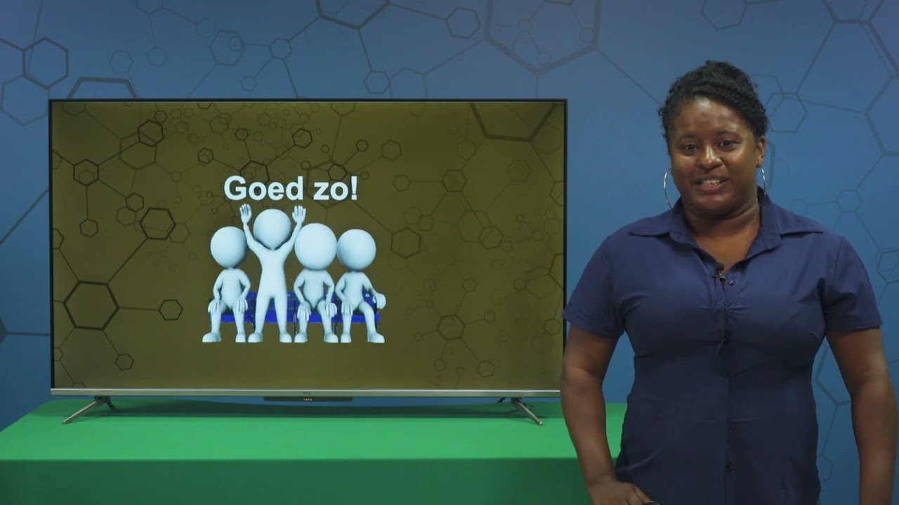 Lj 7 Taal Persoonlijk en bezittelijk vnw