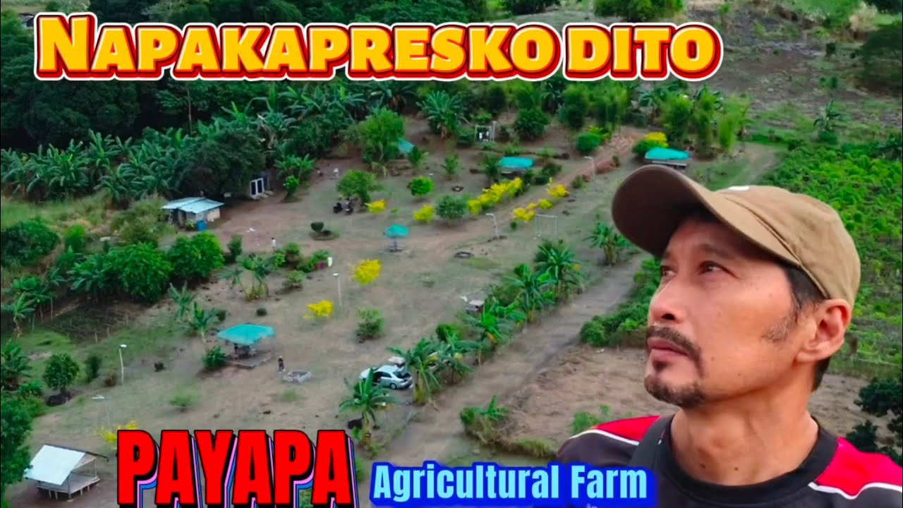 Relaxing Campsite in Mount Arayat | Payapa Agricultural Farm