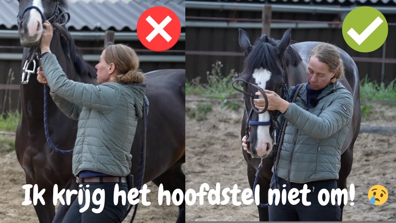 Problemen met omdoen van het hoofdstel | DressuurNatuurlijk