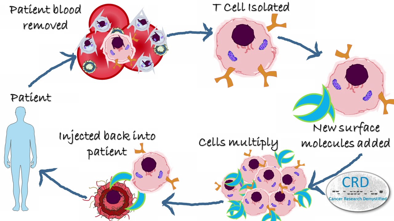 Immunotherapy: a hot topic in cancer research