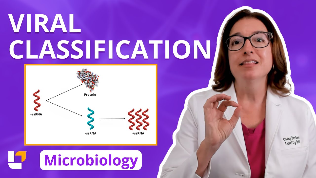 Viral Classification: Microbiology Acellular for Pre-Nursing / Pre Med Students | @Level Up RN