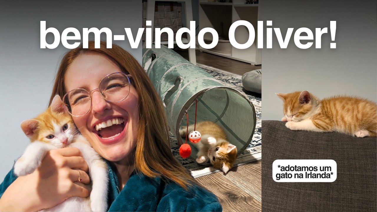 um dia na minha vida em Dublin: faxina no apê + ADOTAMOS UM GATINHO!