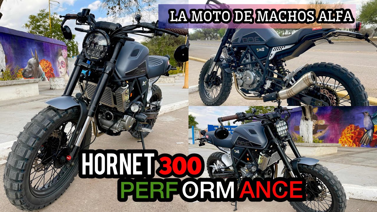 MB HORNET 300 2025 | La Reina de las motos medianas