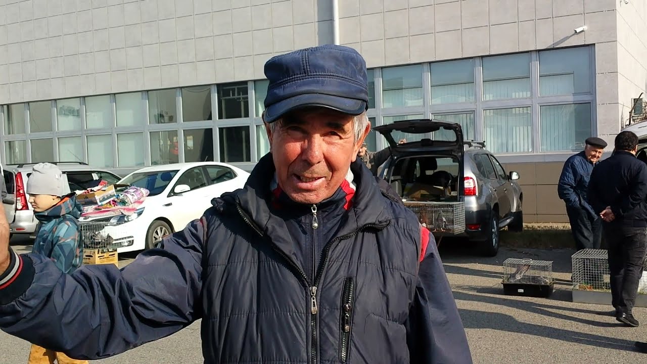 (2 серия) Продажа голубей в Ставрополе. Бруснёвский рынок. (17.10.2021)