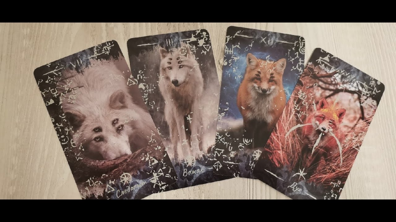 Таро Волк и Луна. Tarot wolf and moon