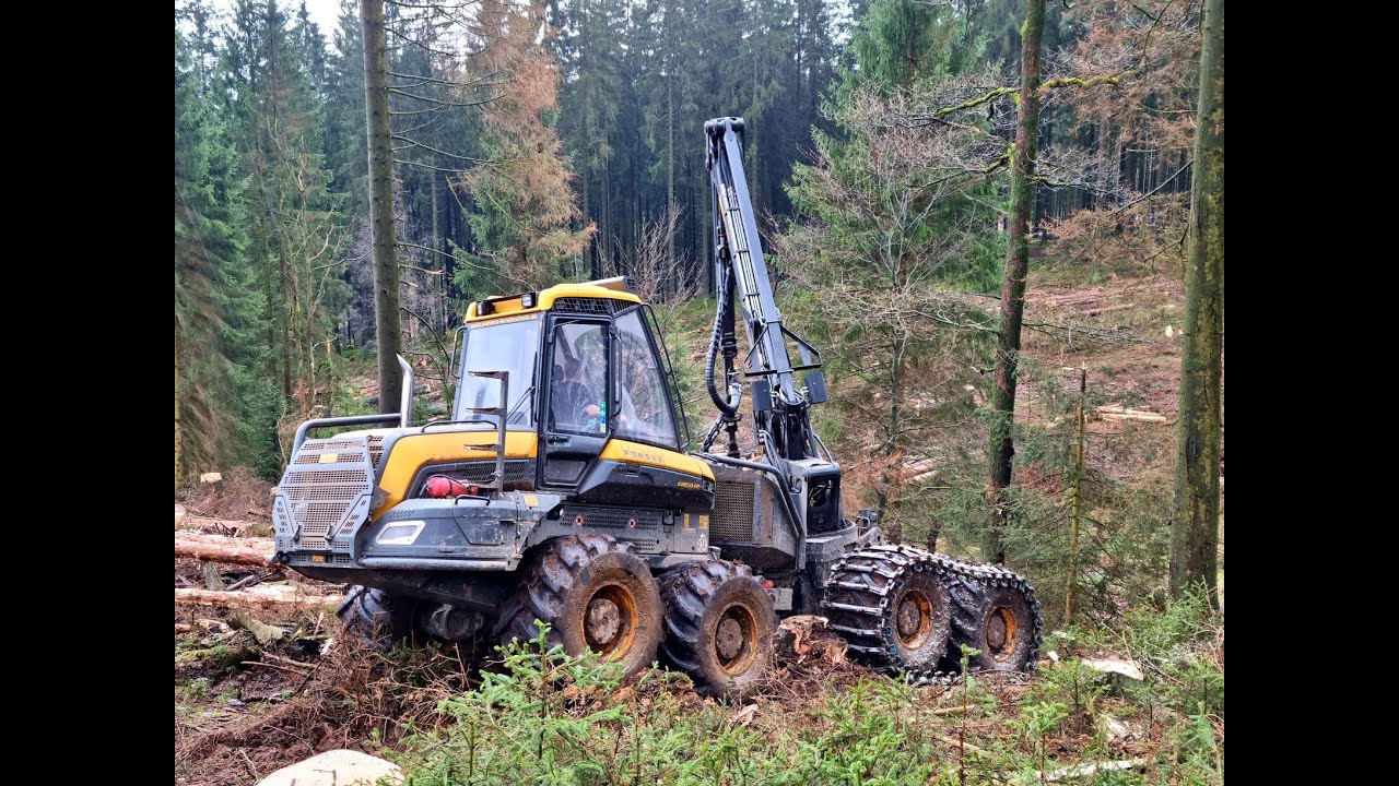 *The BEAR in strongwood* • Ponsse Bear - H8 • Starkholz • Part-2 • Harvester • Uelhoff