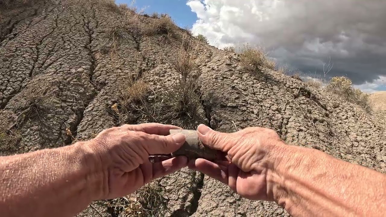 September 2025 Fossil Hunt in the Colorado Book Cliffs #fossils #grandjunction
