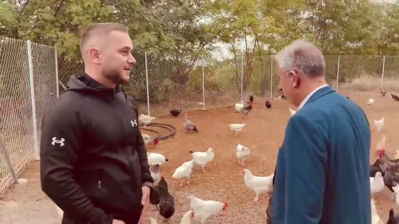 Bali Muharremaj - Ferma e pulave bio .... 🐓🐣🐥Fermeri Ramadan Shala nga Fshati Nep&euml;rbisht