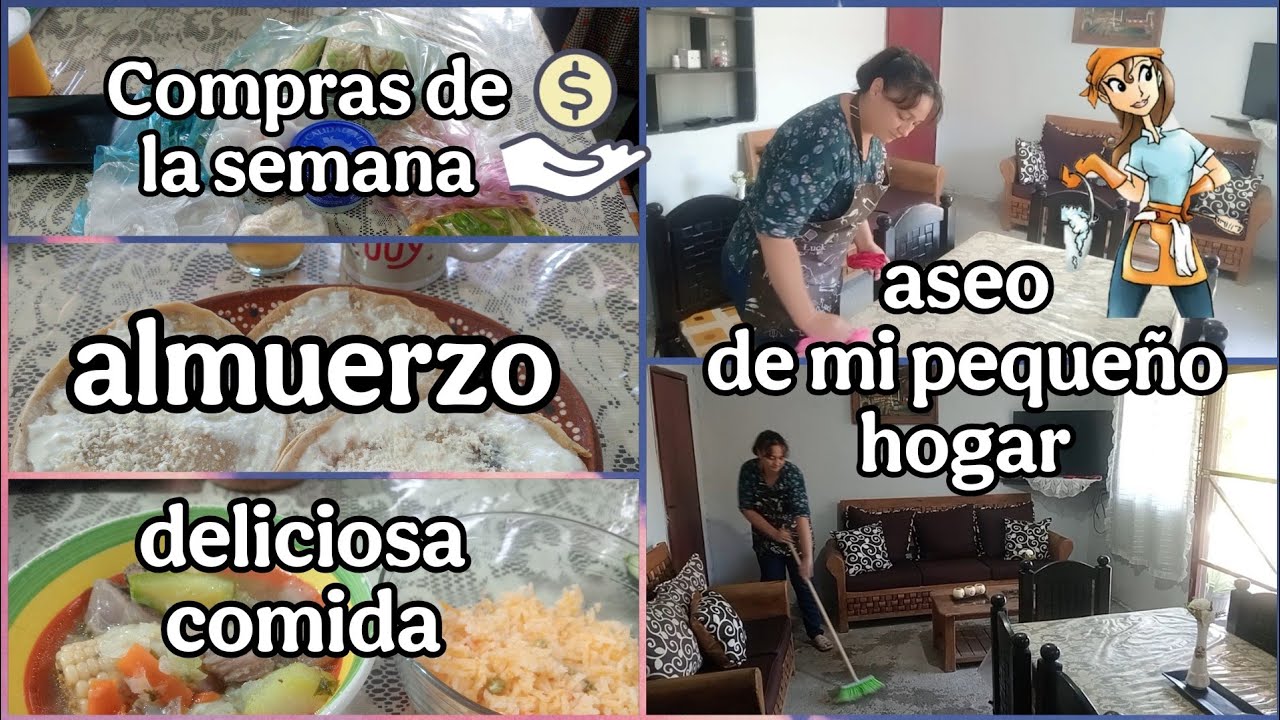 Organización del día miércoles/ esto como en un día con poco presupuesto 💵