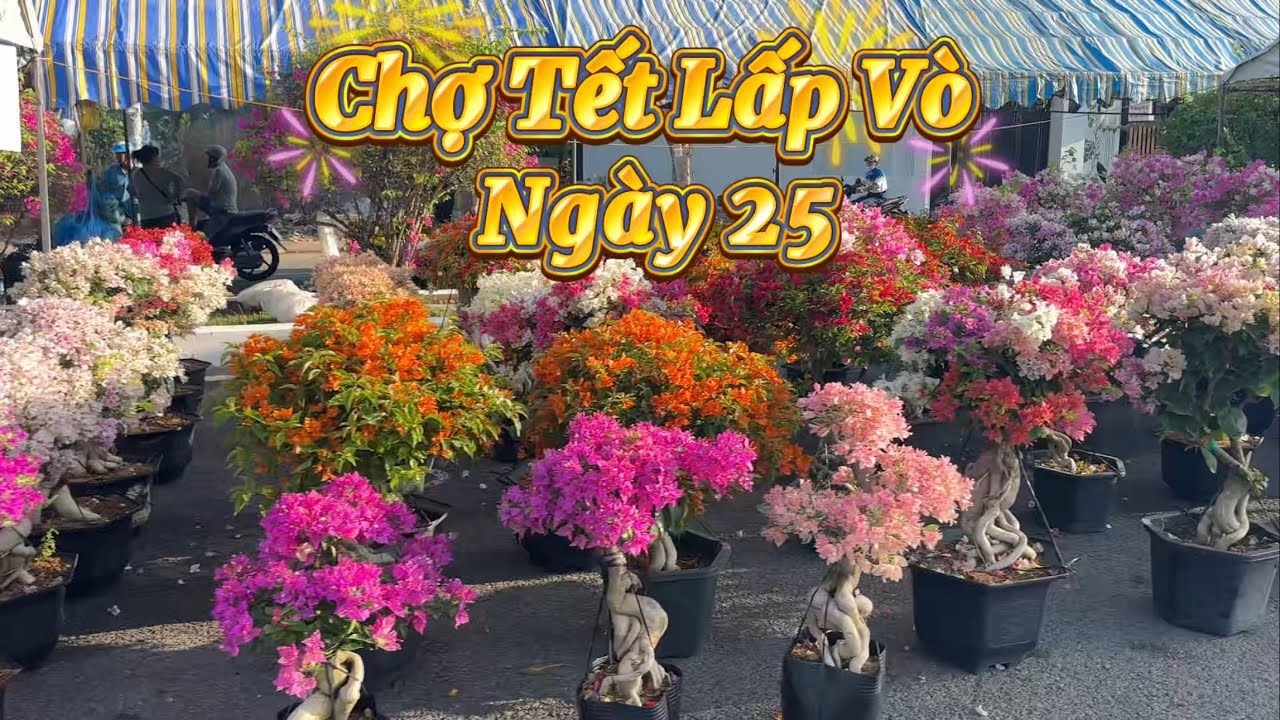 Chợ Tết Lấp Vò | Chợ Hoa Xuân | Dưa Hấu |