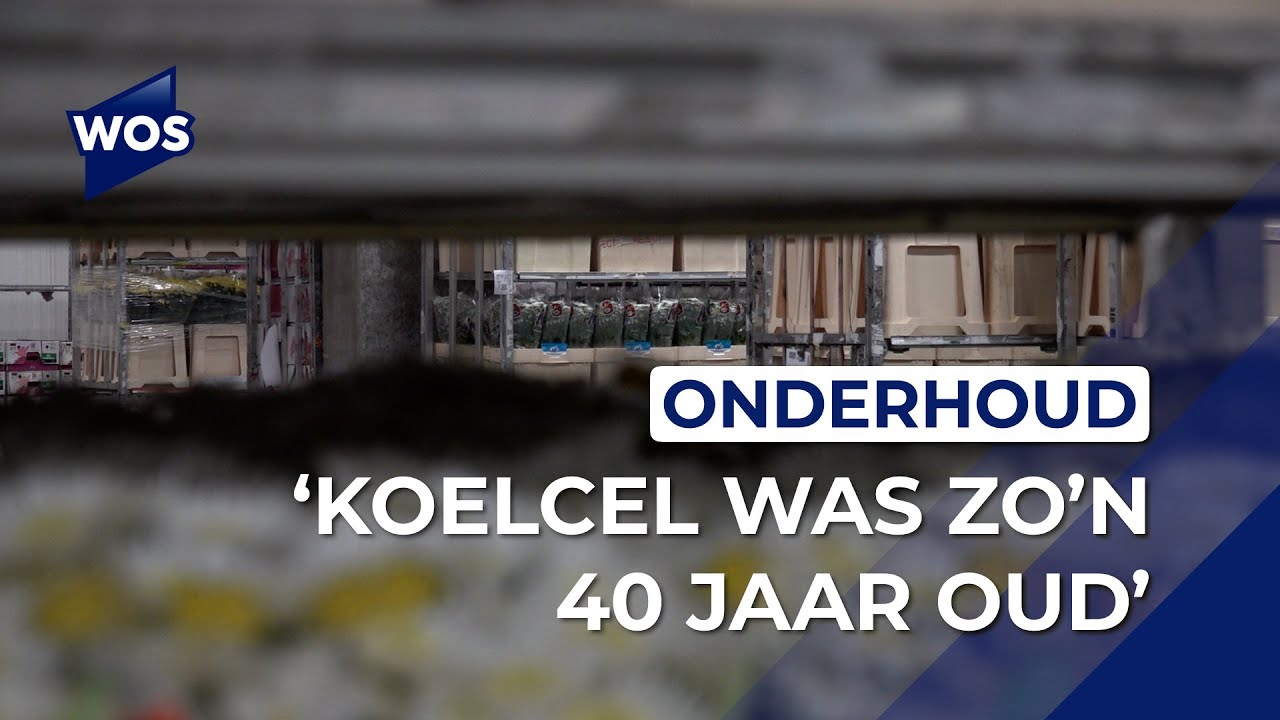 Groot onderhoud koelinstallaties Royal Flora Holland