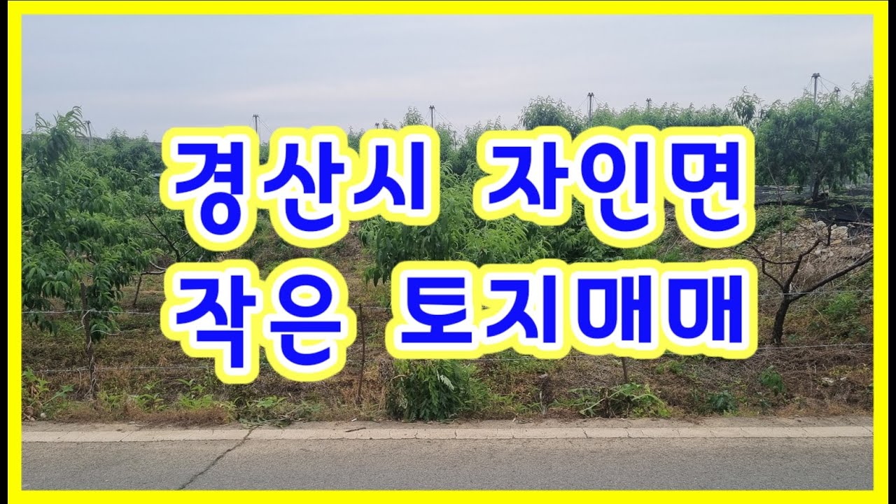 (512) 경산시 자인면 작은토지매매 #경산토지매매#경산주말농장매매 #경산부동산#경산주말농장#경산촌집#경산시골집