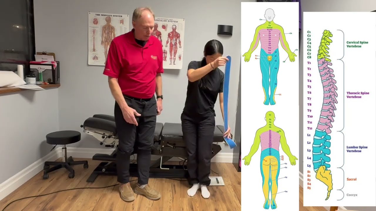 Learn the Dermatomes