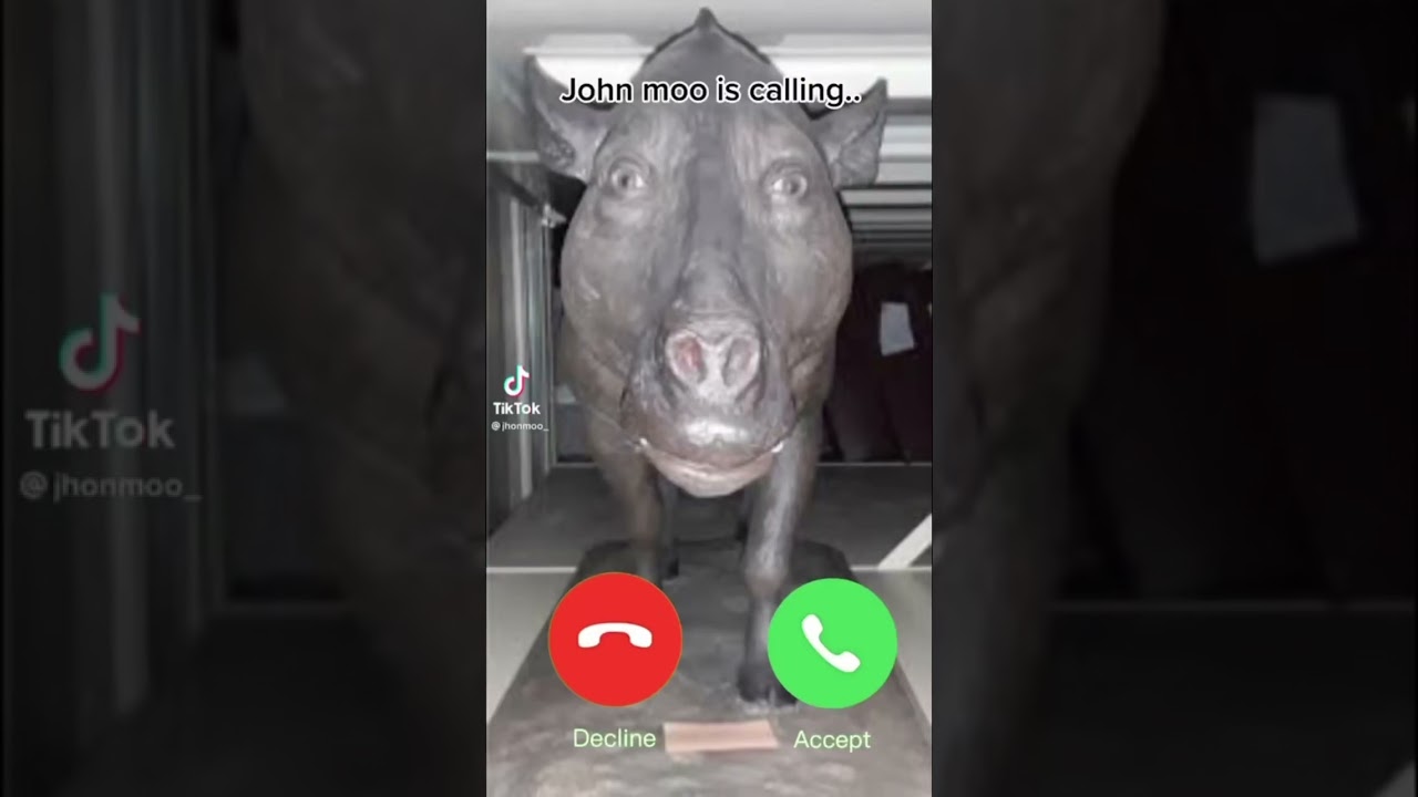 j.moo calling 📞 #call #friends #moo