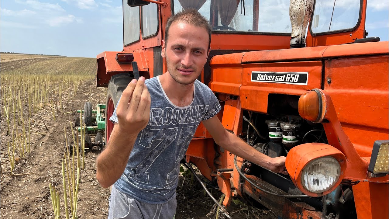 В первый раз, когда я пересекла палки, меня снова ужалили!