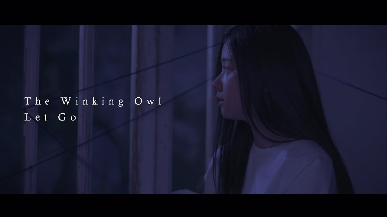 The Winking Owl - Let Go- (Official Music Video)