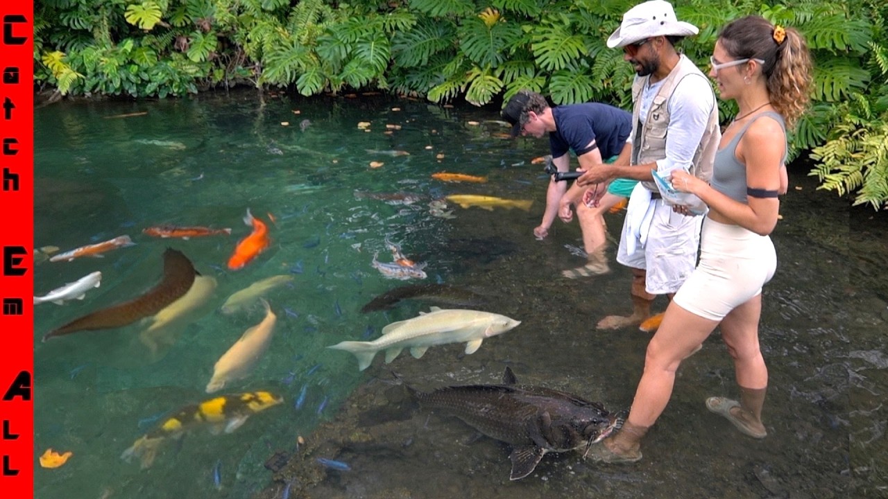 Строим пруд на заднем дворе стоимостью 1 000 000 долларов для новой гигантской рыбы!