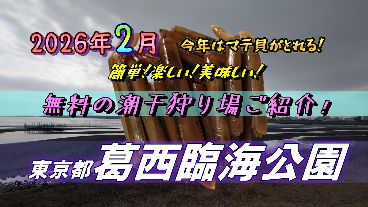 【2026】今年はマテ貝がとれる！葛西臨海公園での無料潮干狩りをご紹介します！