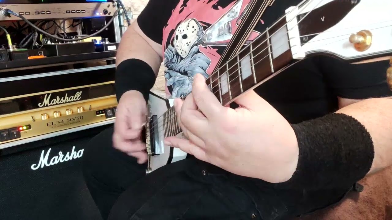 Dying Wish - Felemészt demo 2022 (guitar playtrough)