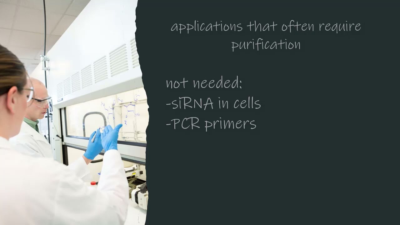 Considerations for oligonucleotide purification | Dharmacon™ Oligo Synthesis Tips | Episode 4