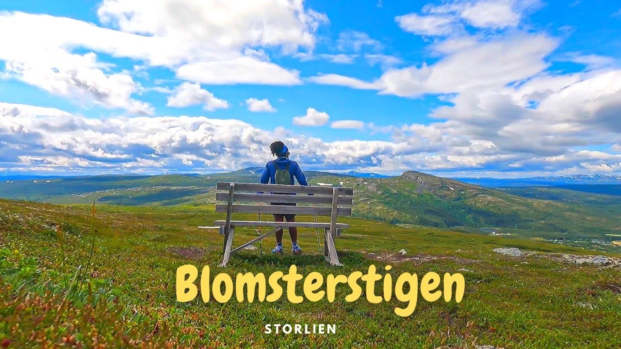 [INTERLUDE] - Blomsterstigen - Randonnée Suède