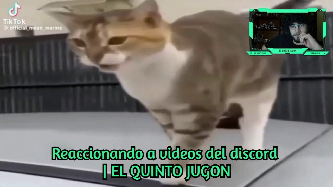 Reaccionando a videos del discord | 
