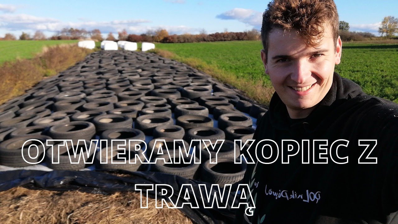 Trawa z pryzmy do skarmiania byków!