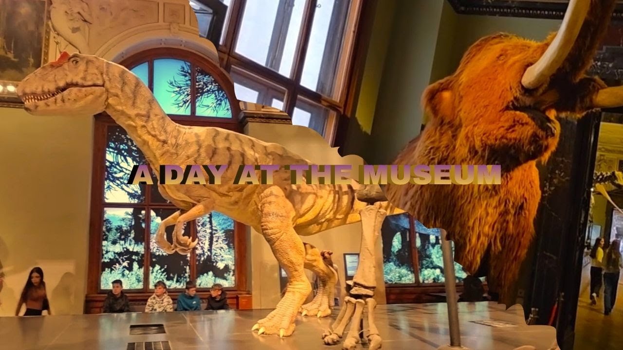 A day at the Museum | Natural History Museum Vienna
