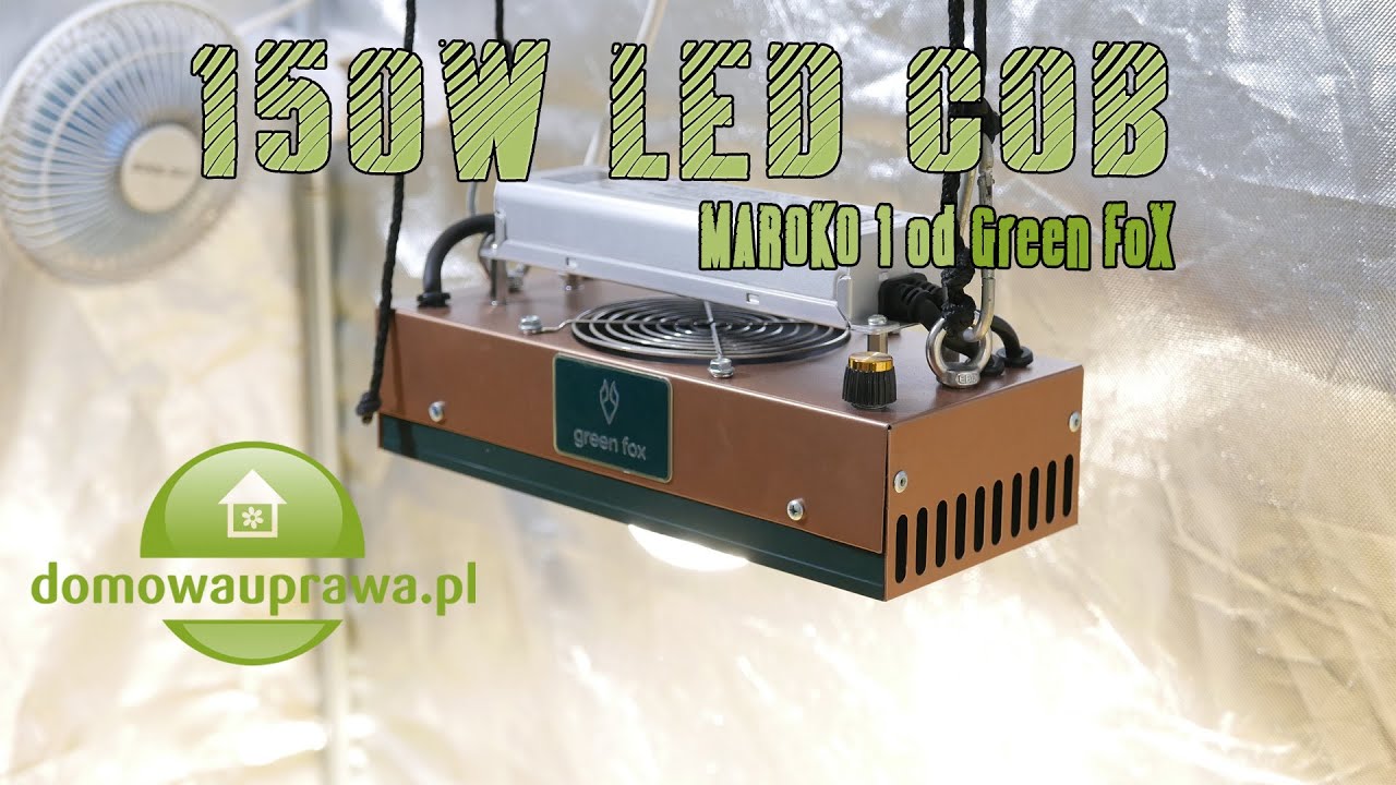 150W LED COB Maroko 1 od Green Fox