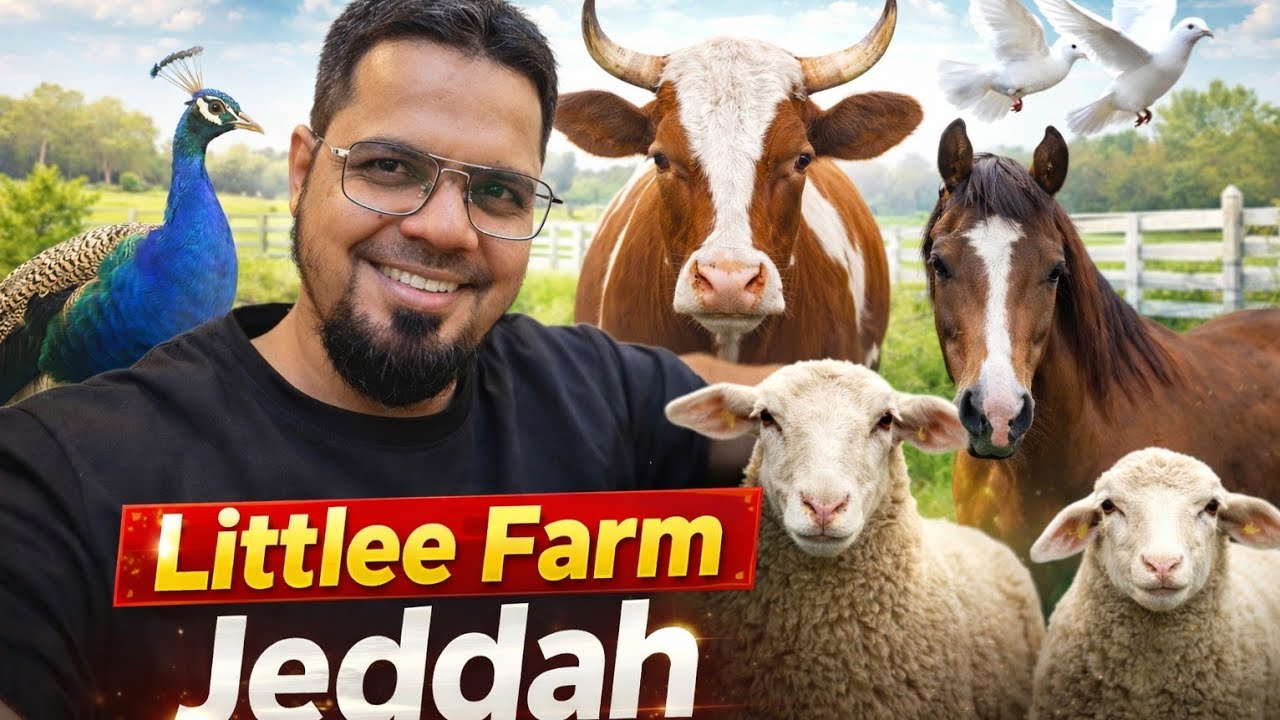 Little Farm @ Jeddah KSA