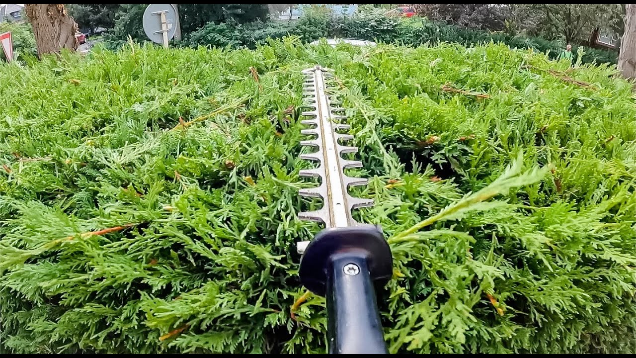 Střih živ&eacute;ho plotu z t&uacute;j&iacute; - POV video