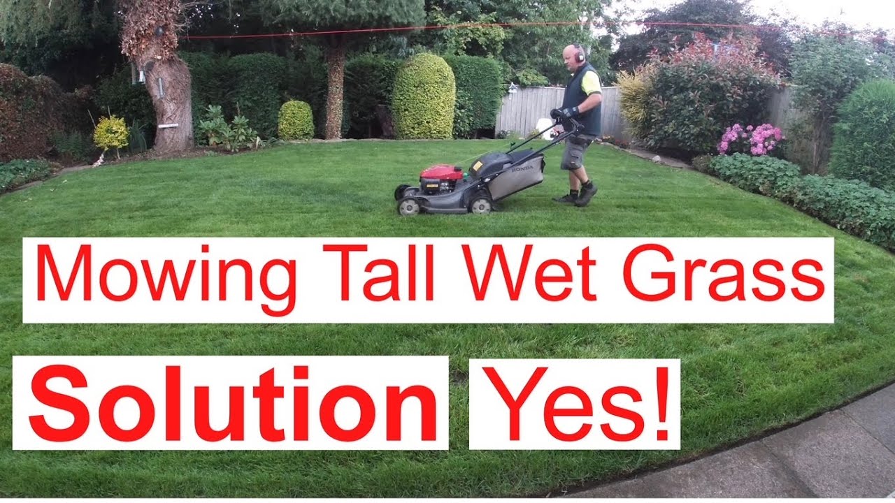 How To To Mow Tall Wet Grass, Have I Found The Solution.