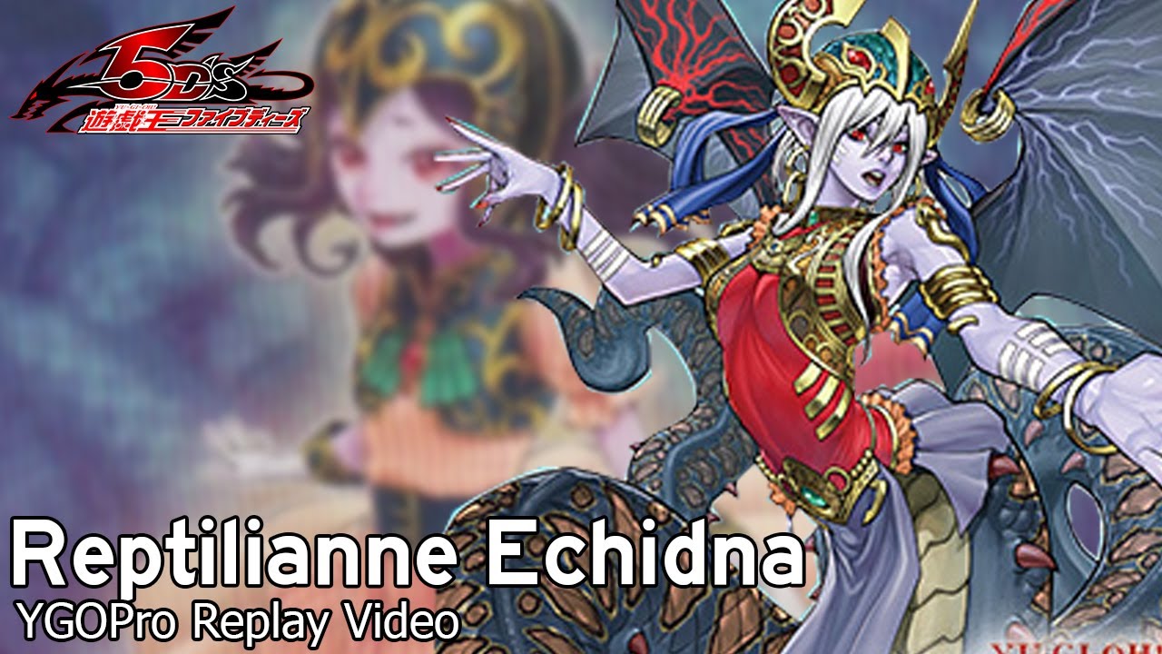 [YgoPro] Yu-Gi-Oh! Reptilianne Deck feat Reptilianne Echidna - November 2019