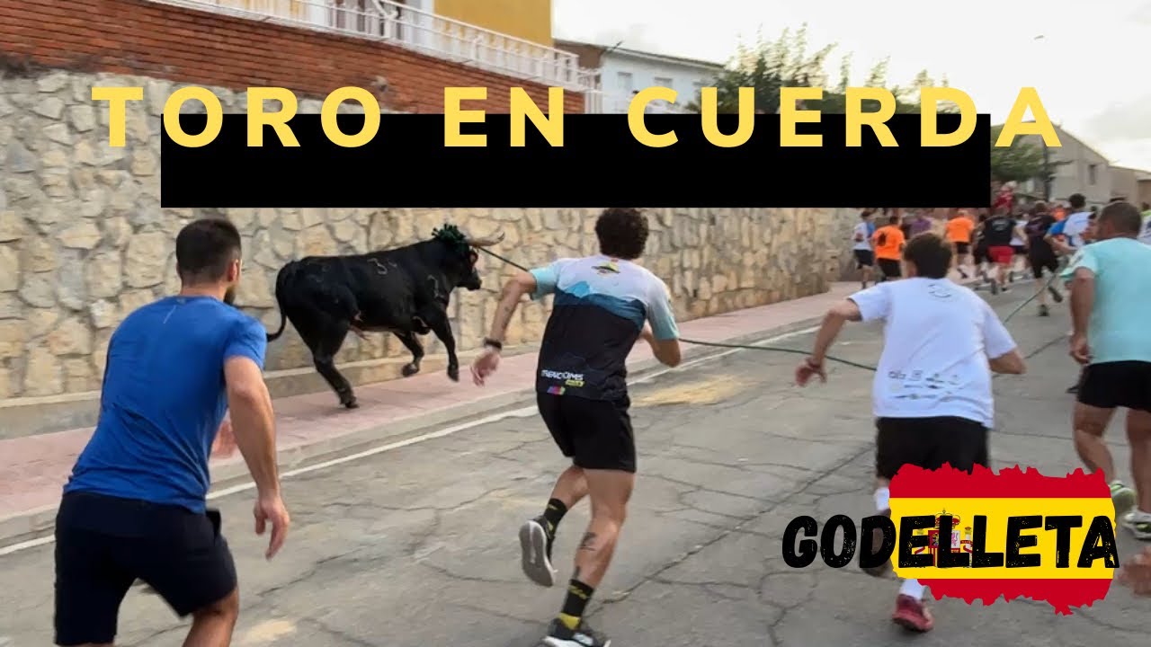 Des traditions ancestrales ➡️ Taureau à la corde ➡️ Godelleta 🇪🇸 22/08/2025 Ganadéria LA TEMPLANZA 🪢