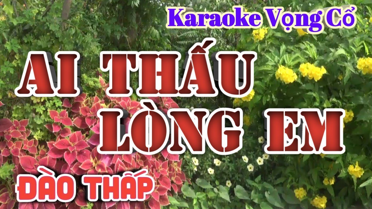 Karaoke Ai Thấu Lòng Em - Dây Đào Thấp - Tác giả: Nguyễn Hữu Nghĩa