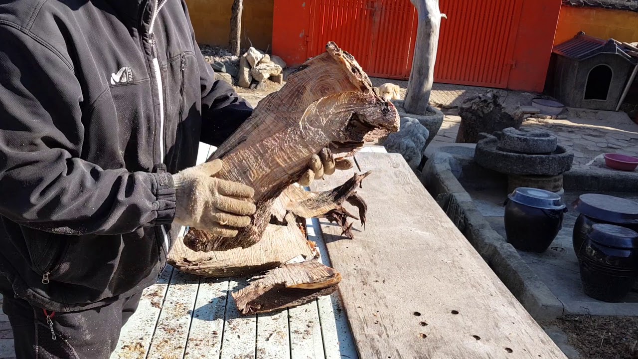 [공방] 썩은 소나무 뿌리 관솔로 다용도 그릇 만들기 (1부)