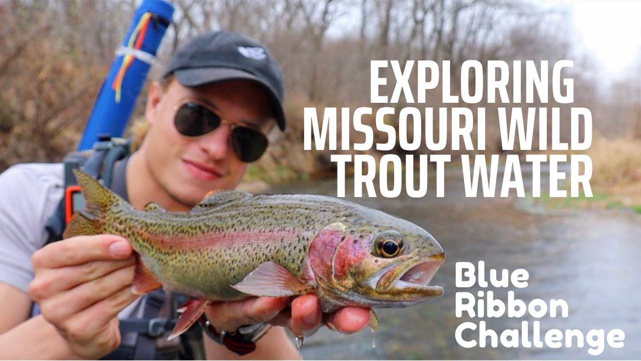 Can you catch them all? Missouri Wild Trout Challenge