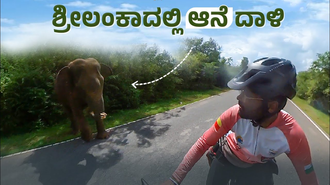 ಶ್ರೀಲಂಕಾದಲ್ಲಿ ಆನೆ ದಾಳಿ | ಇದೊಂದು ಭಯಾನಕ ಅನುಭವ | Sudarshan Sanchari