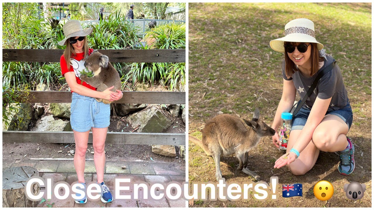 The Incredible Animals of Australia | Let's Cuddle Koalas and Feed Kangaroos | London Roses