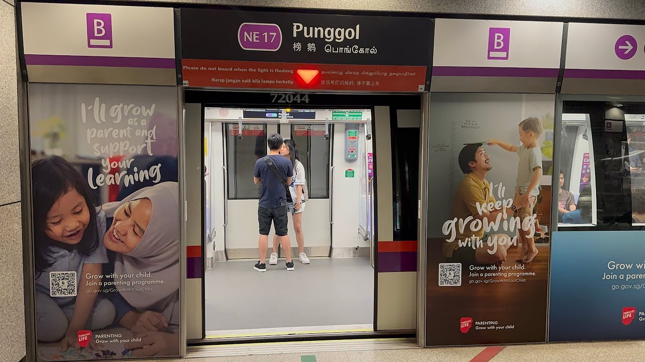 [SBST] [WKD Pax Load Test!] RC751A 7043/7044 NE16 Sengkang - NE17 Punggol