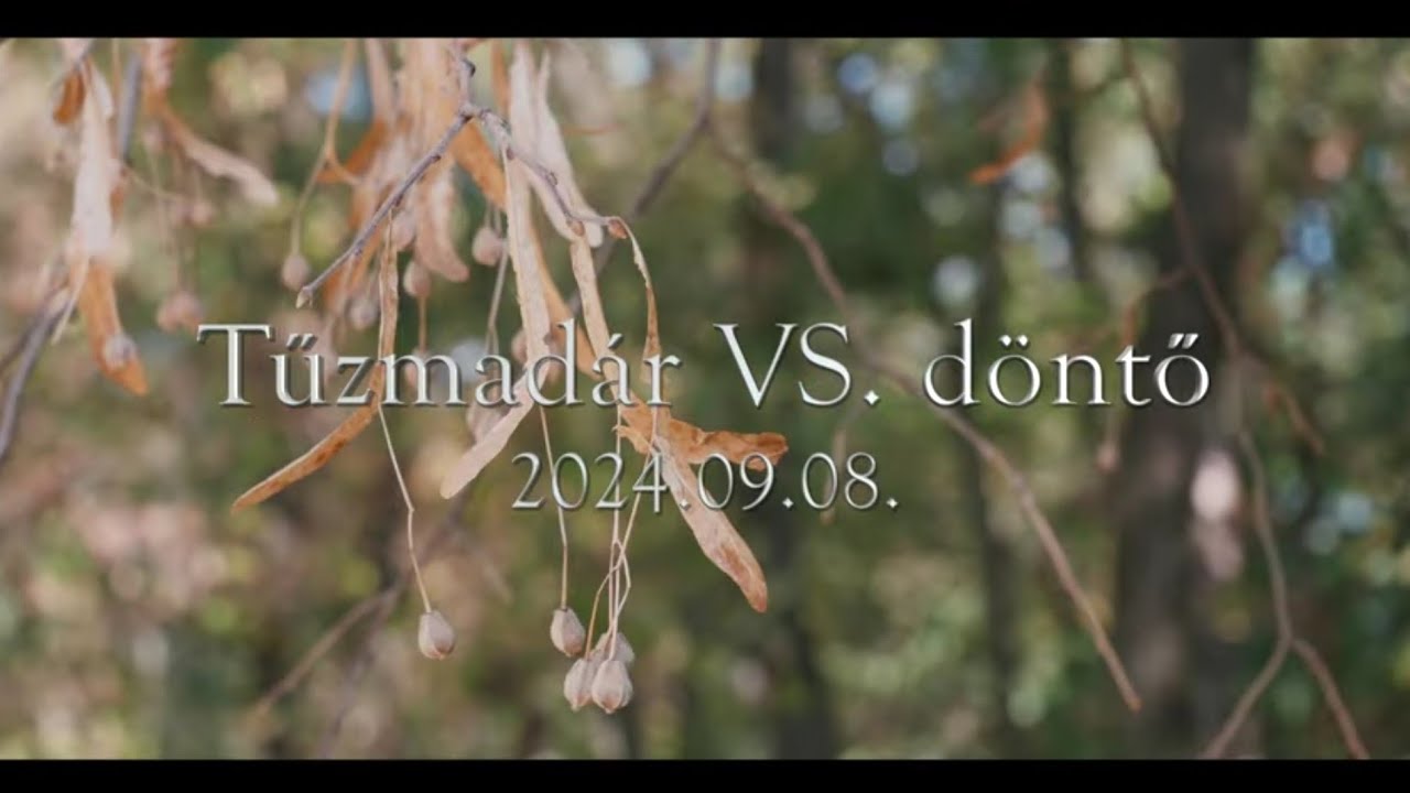 Tűzmadár VS döntő