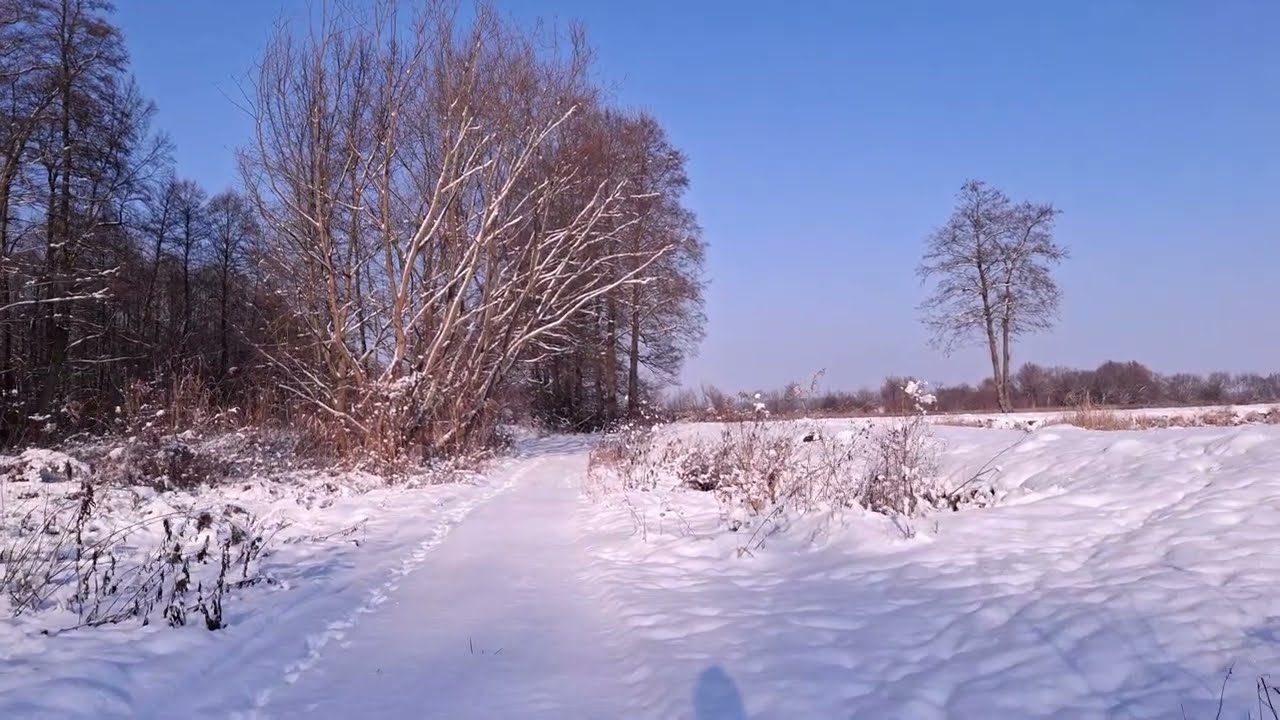 Krótki spacer nad Wieprz