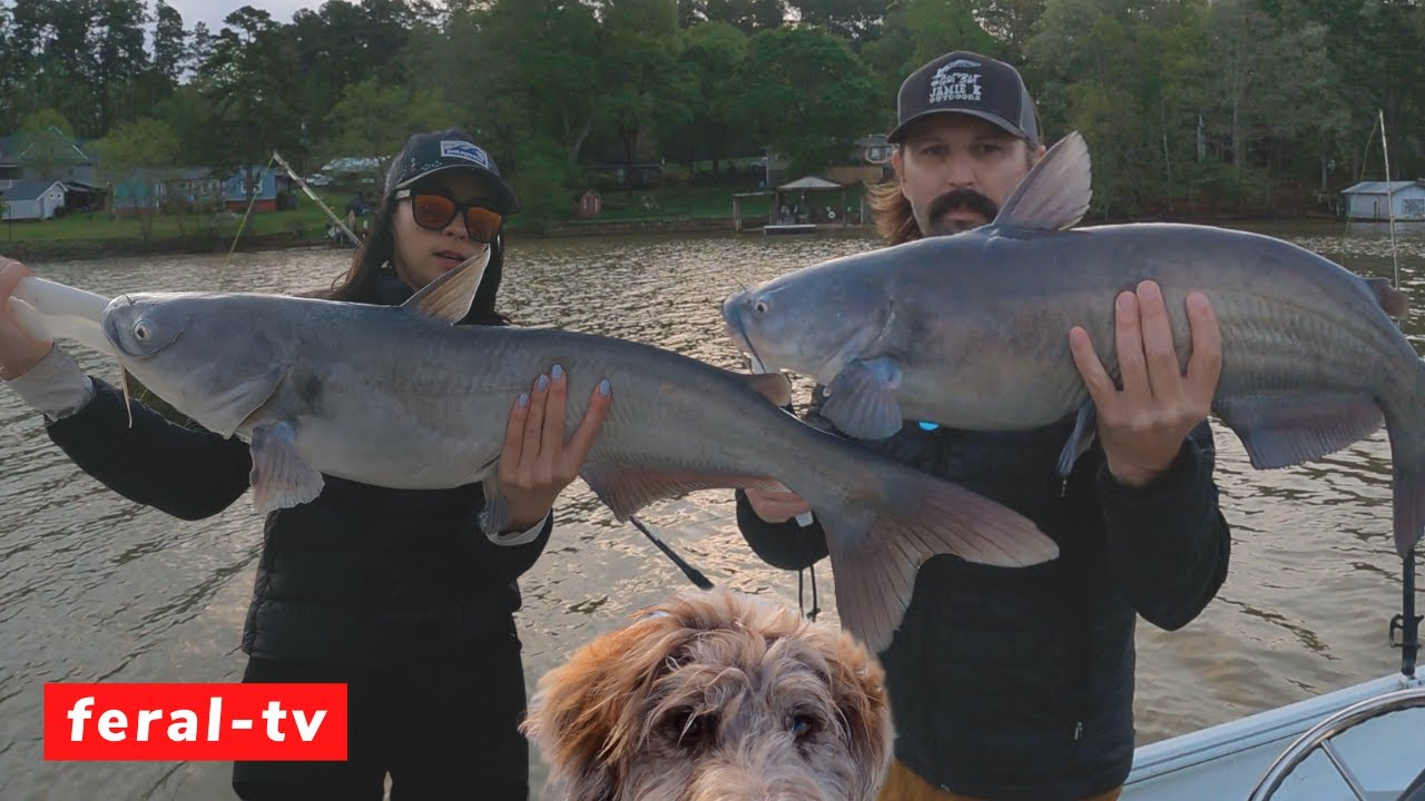 Fast and Furious Spring Catfishing