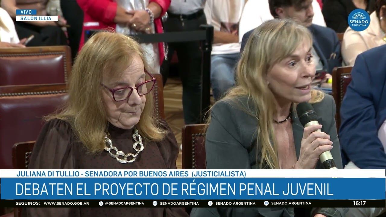 SENADORA JULIANA DI TULLIO 2 - PLENARIO DE JUSTICIA Y PRESUPUESTO 19-02-26