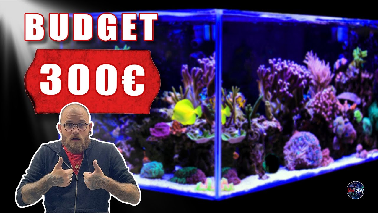 AQUARIUM EAU DE MER (RECIFAL) COMPLET PAS CHER - 300&euro;