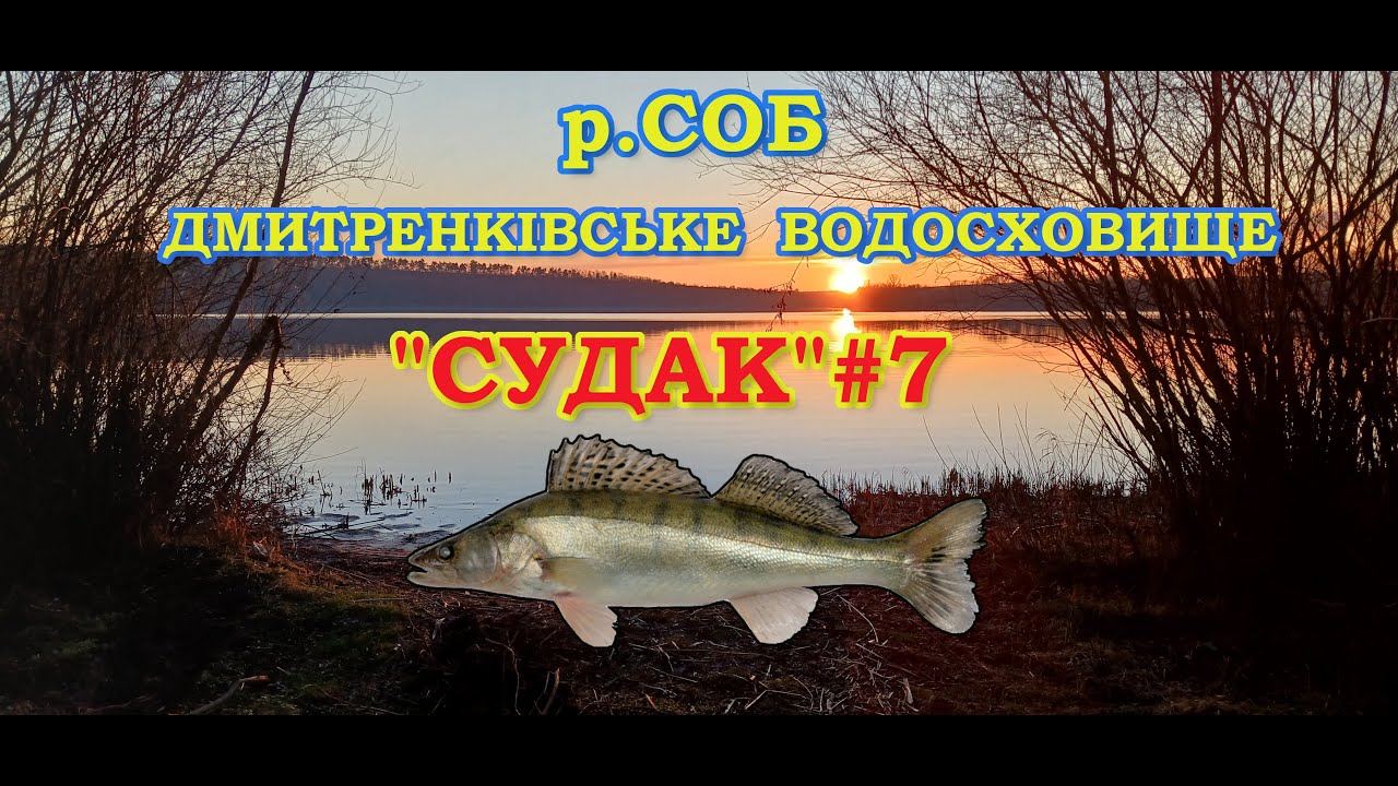 Судак за кожним закидом.