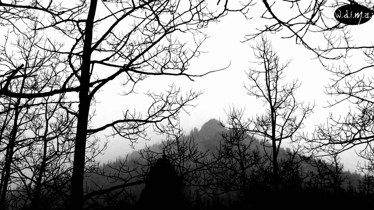 Gallowbraid - Oak and Aspen