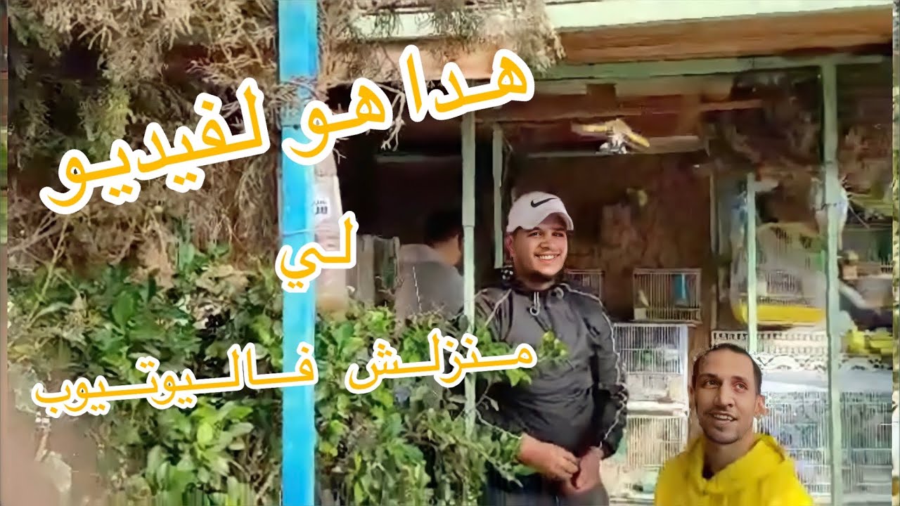 رجل المقنين رشيد 