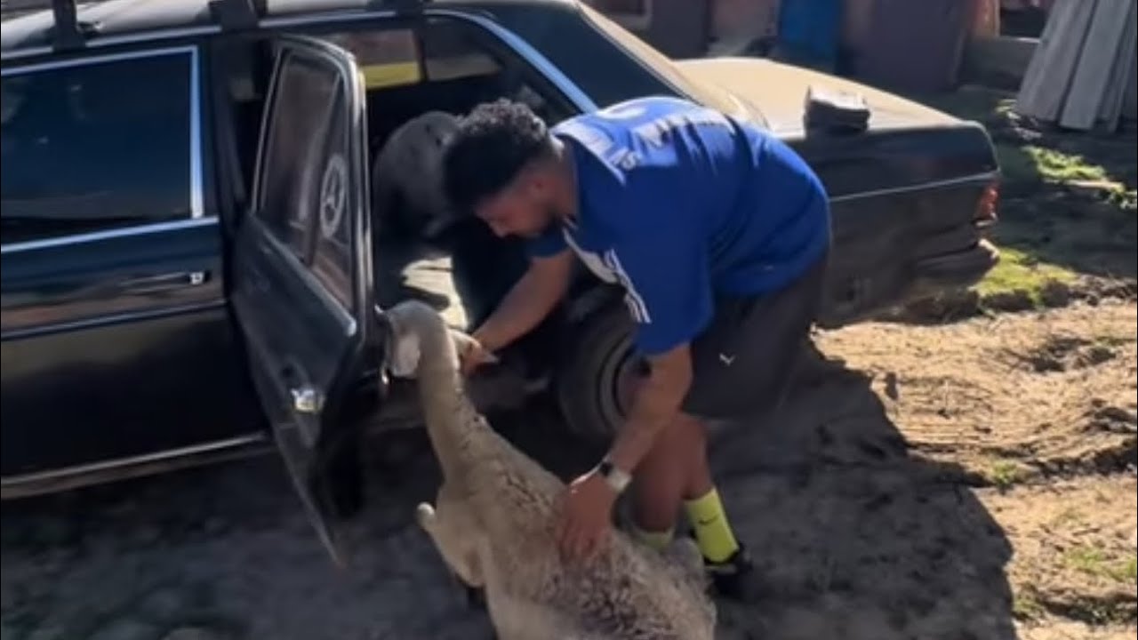 VLOG 26/2/2026 CHRIT 2 GHALMAT 3OCHAR 9RIB YWILDO L7AWLI TERA7LI GHALMA KANIT 9RIBA TEWLID 