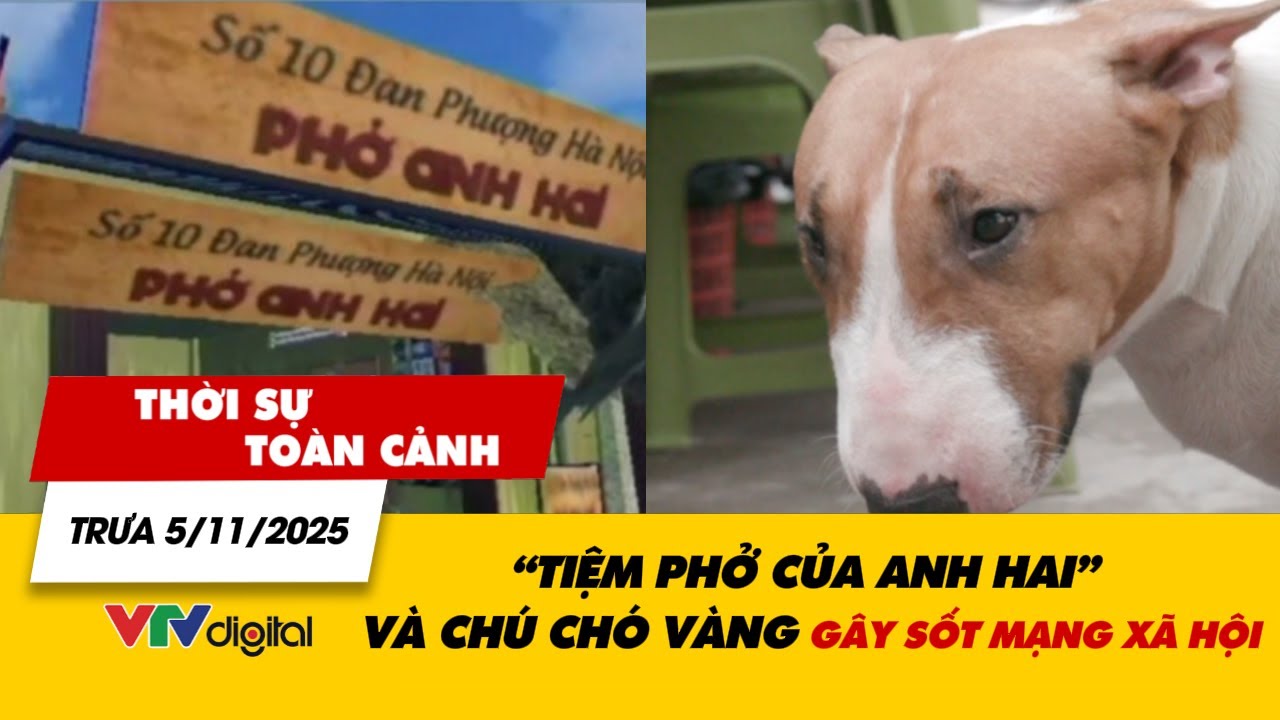 Thời sự toàn cảnh trưa 5/11: ‘Tiệm phở của anh Hai’ và chú chó Vàng gây sốt mạng xã hội | VTV24